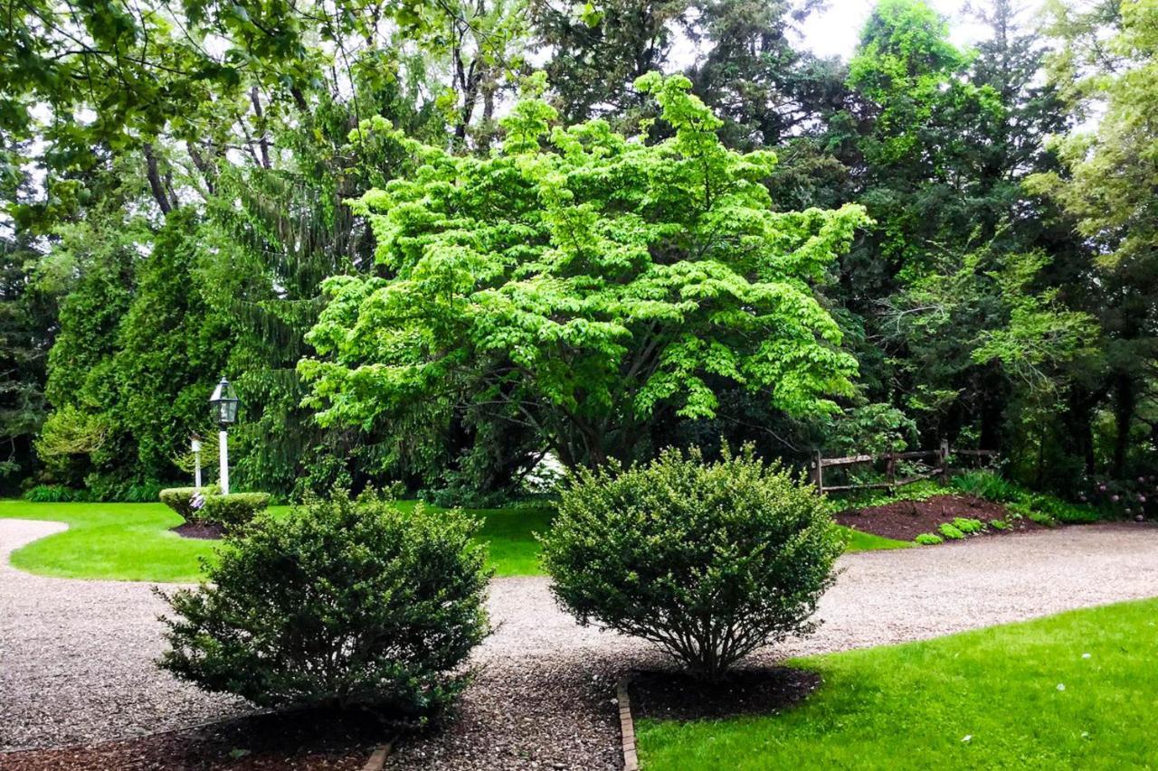 Lily Hill Villa Vineyard Haven Dış mekan fotoğraf