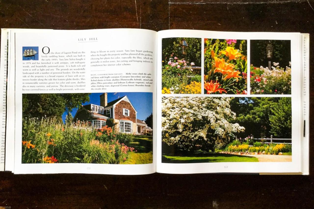 Lily Hill Villa Vineyard Haven Dış mekan fotoğraf